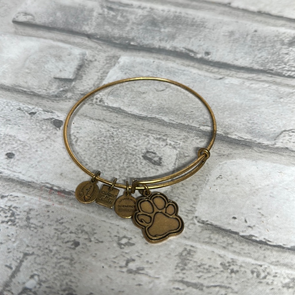 Alex and Ani 2016 gold paw print bracelet